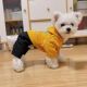 四脚衣防风防水比熊幼犬小狗服装 宠物衣服狗狗秋冬款 带帽套装 棉衣