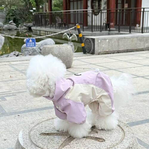 春秋狗狗衣服四脚可爱外出小狗泰迪博美帅气春秋款网红防晒防尘