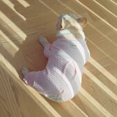 法斗四脚衣服保暖秋冬款 保暖胖狗衣服巴哥法斗包肚衣可爱居家服