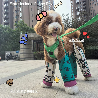 宠物衣服狗狗防脏腿裤户外防尘防尿防脏腿裤长毛大型犬巨贵