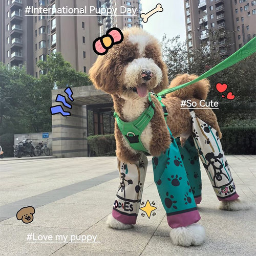 宠物衣服狗狗防脏腿裤户外防尘防尿防脏腿裤长毛大型犬巨贵