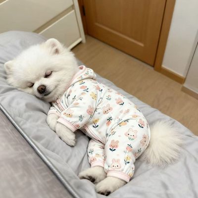 猫咪狗狗可爱保暖睡衣猫新款家居舒适四脚款幼犬通用超萌四脚防寒