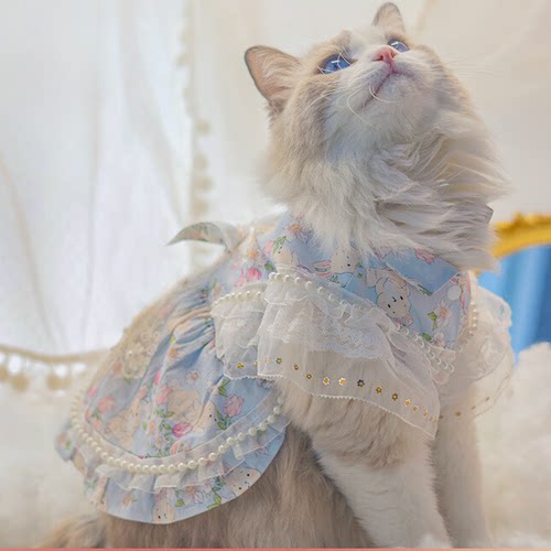 春夏款猫咪衣服宠物服装可爱洛丽塔裙子公主夏日狗狗布偶猫防掉毛