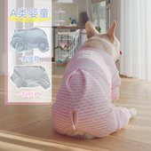 法斗四脚衣服保暖秋冬款 保暖胖狗衣服巴哥法斗包肚衣可爱居家服