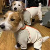 防寒保暖中小型犬四脚帅气防风加绒户外服专用秋冬厚款 外出小狗