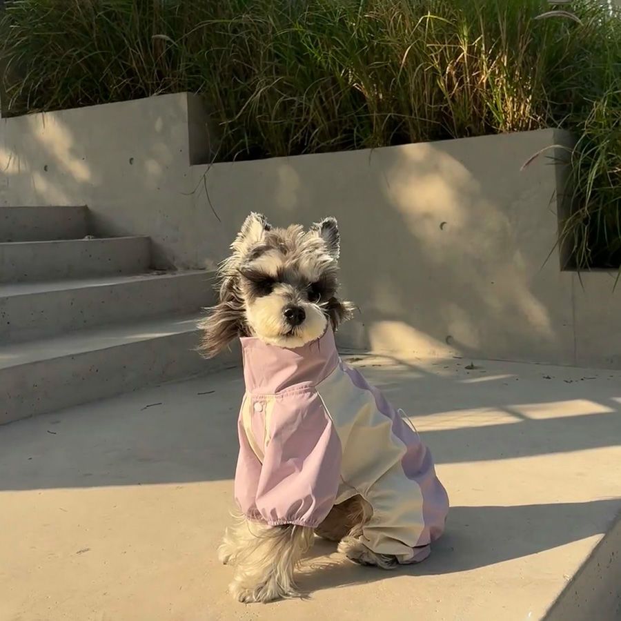 秋冬款狗狗衣服四脚可爱外出加绒泰迪博美春秋款防尘防泼保暖冲锋