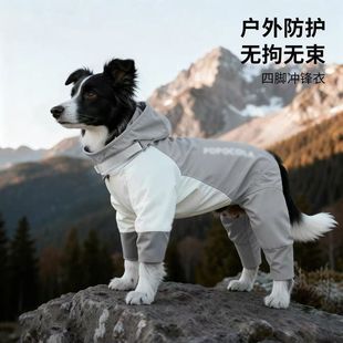 冬季中型犬灵提边牧高领棉衣宠物狗狗秋冬衣服保暖防风生态棉服