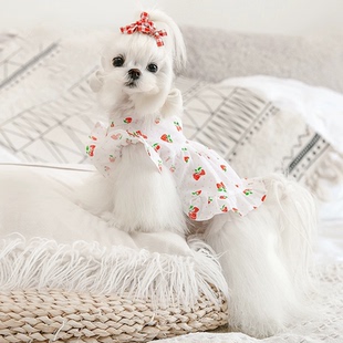 小狗狗衣服公主裙春夏装泰迪衣服约克夏连衣裙马尔济斯犬比熊裙子