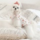 小狗狗衣服公主裙春夏装 泰迪衣服约克夏连衣裙马尔济斯犬比熊裙子