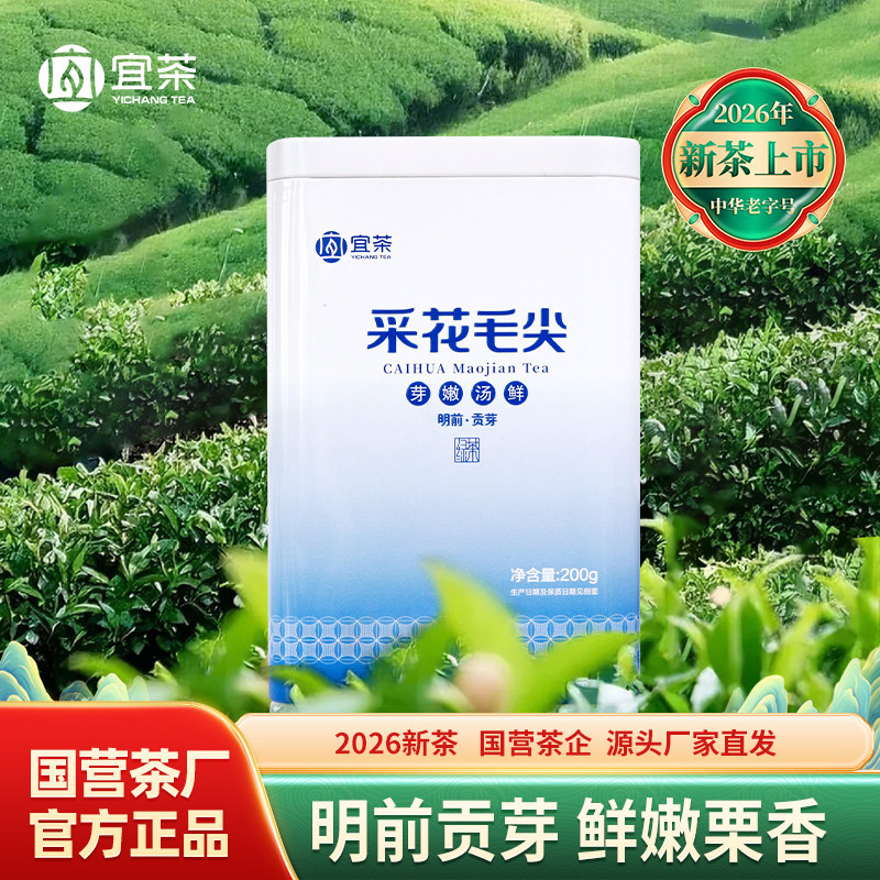 2026年特级新茶宜茶采花毛尖明前贡芽春芽五峰绿茶栗香型自饮