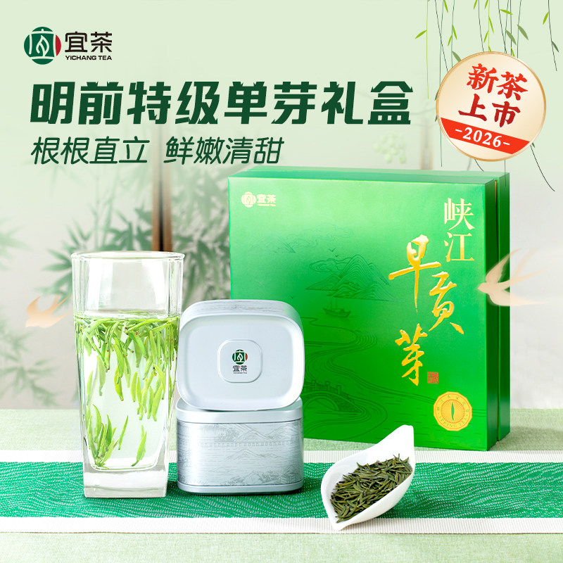 【2026新茶现货】宜茶峡江早贡芽茶礼盒毛尖茶叶明前头采嫩芽绿茶
