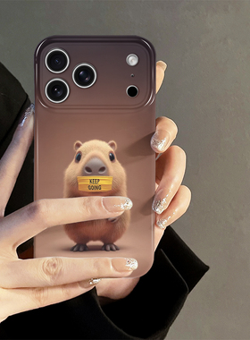 闭嘴卡皮巴拉适用苹果17promax手机壳iPhone16pro可爱iP15pro新款14卡通13防摔套oppo12小米华为荣耀vivo红米