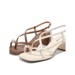 女2024夏季 缠绕带凉鞋 新款 子粗高跟法式 3CP30BL4 鞋 百丽一字带凉鞋