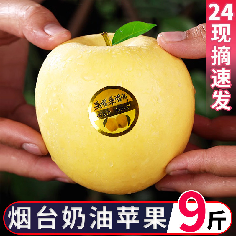 黄金奶油富士山东烟台奶油富士