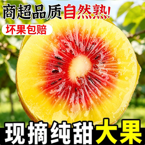 四川红心猕猴桃应当季新鲜大果