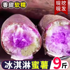 沙地冰淇淋红薯新鲜农家自种现挖