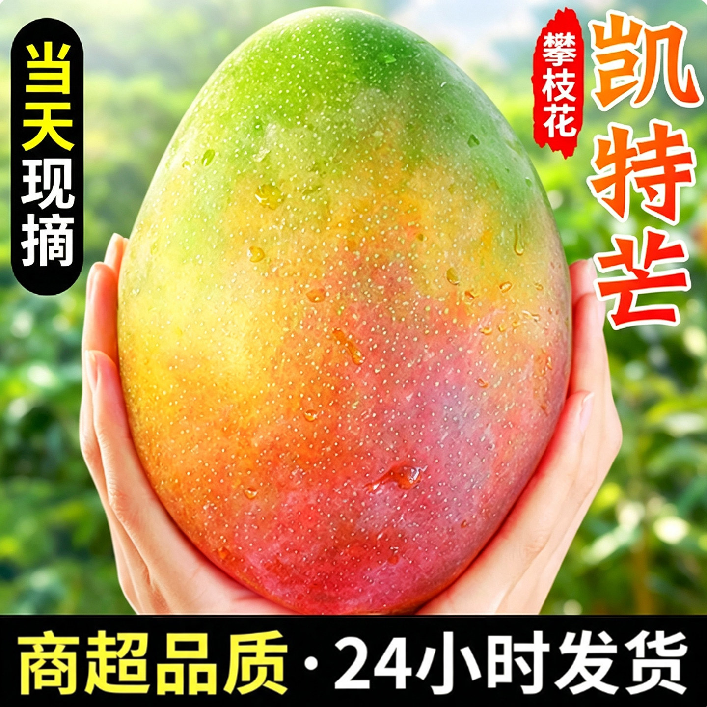 四川攀枝花凯特芒果新鲜应季水果