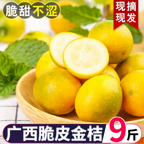 广西融安脆皮金桔新鲜纯甜无籽