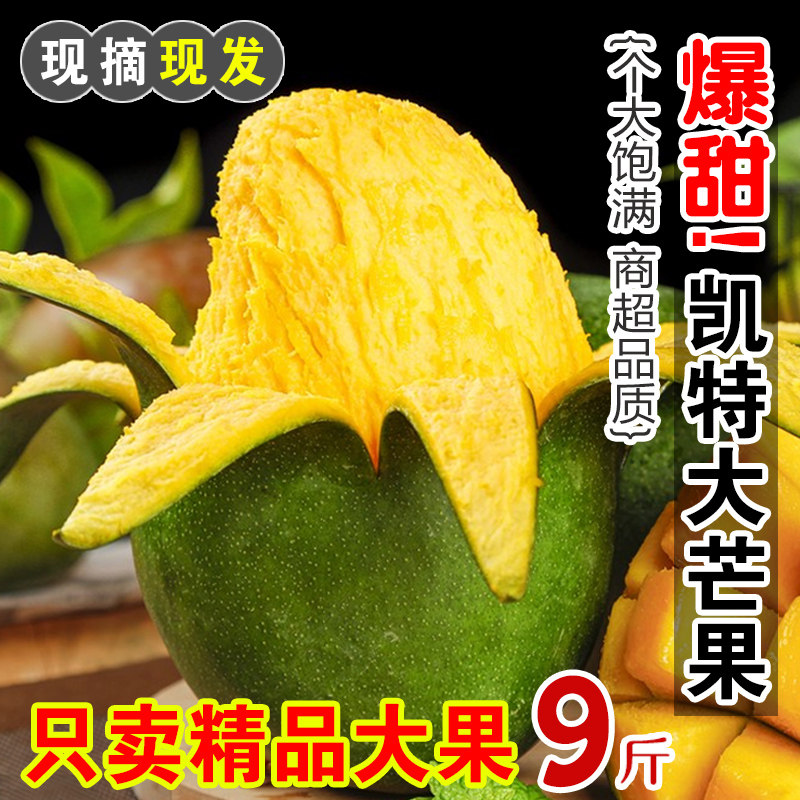四川攀枝花凯特芒果9斤新鲜水果当季整箱忙青皮特大芒果包邮现货属于什么档次？