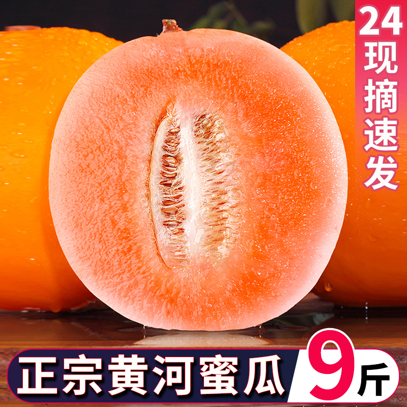 陕西黄河蜜甜瓜9斤新鲜水果应当季整箱沙漠黄金脆香瓜哈密瓜5包邮