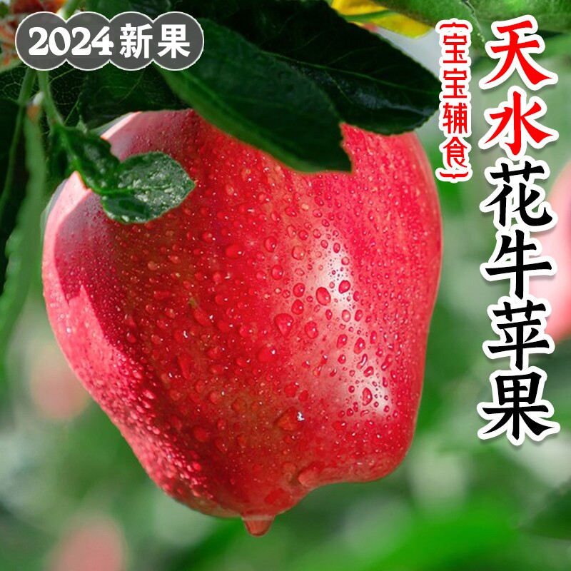 甘肃天水花牛苹果9斤糖心当季红蛇新鲜水果整箱包邮粉面平果丑果