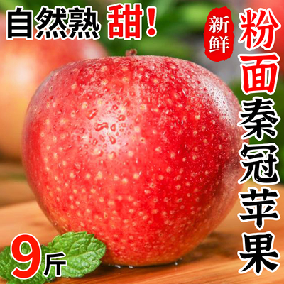 陕西秦冠苹果陕西粉面沙甜包邮