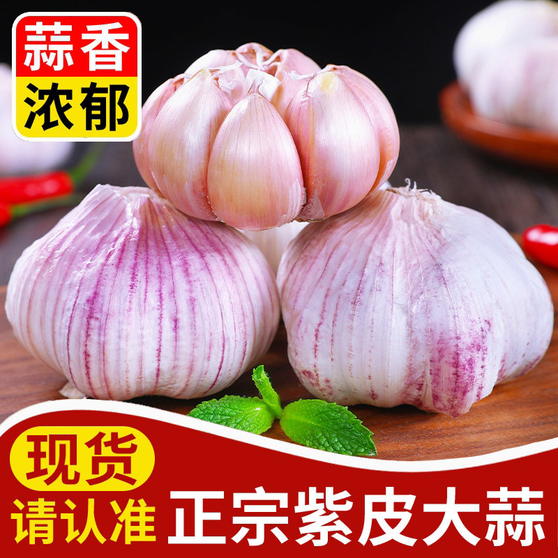 2026新蒜山东紫皮大蒜9斤