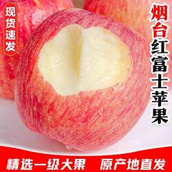 烟台红富士苹果9斤应当季新鲜水果整箱山东栖霞脆甜冰糖心丑平果