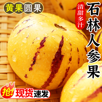 云南石林人参果新鲜人生果9斤
