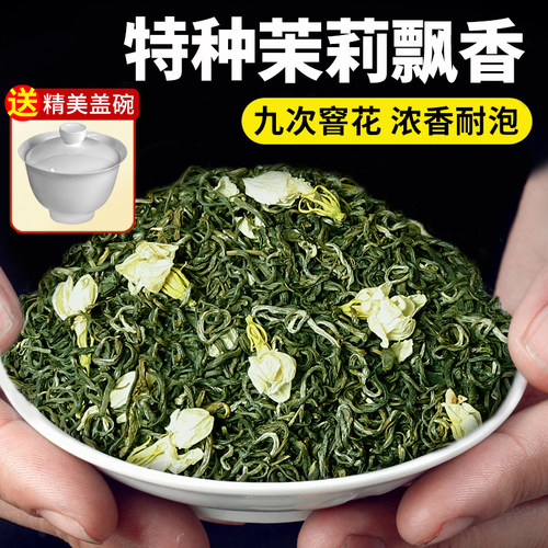 新茶茉莉花茶茶叶浓香型