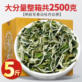 2026年正宗福建新茶白茶一级花香白牡丹散茶明前高山春茶嫩芽茶叶