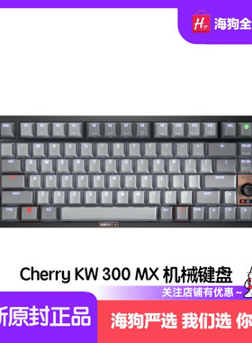 Cherry KW 300 MX 黑色机械键盘热插拔静音打字多接口充电长续航