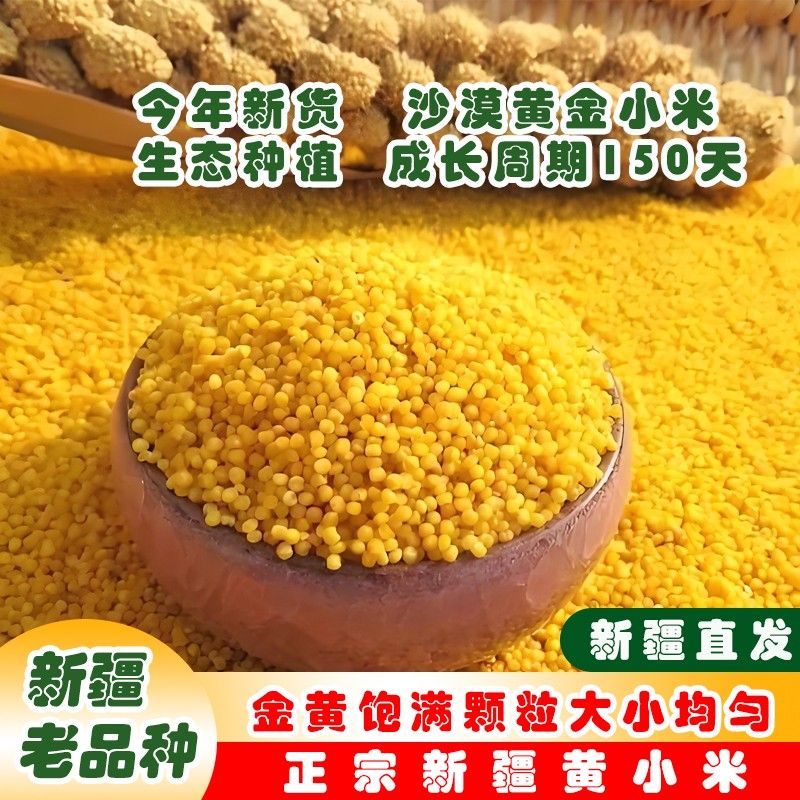 新疆沙漠黄小米农家新米2/5斤煮粥小米粥月子米杂粮粗粮产地直发