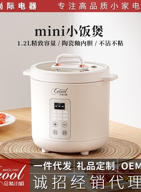 电饭煲家用小型2-3人多功能迷你
