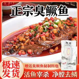 黄山臭鳜鱼安徽特产正宗臭桂鱼净膛去鳞古法腌制徽菜净膛半成品