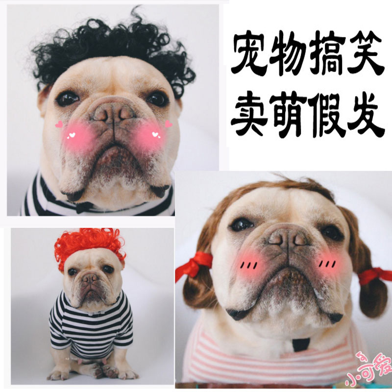 丁派特宠物狗狗猫咪帽子耍酷头套小公主辫子法斗假发卖Z萌搞笑头