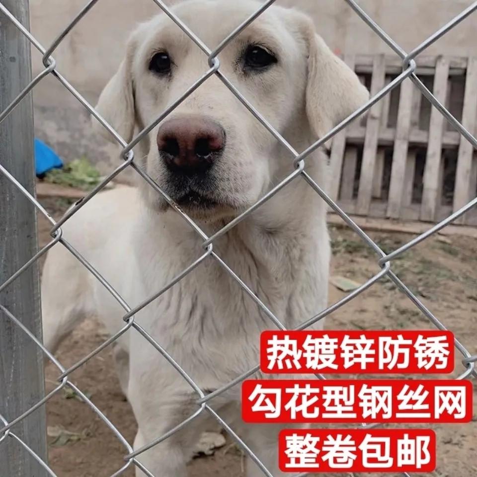 镀锌钢丝网围栏网防护网养殖牛羊猪护栏网圈地围V果园铁丝网勾花