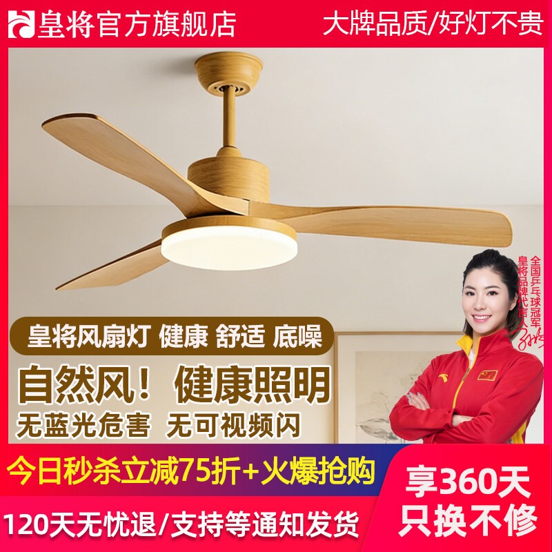 餐厅风扇灯吊扇灯客厅现代简约灯
