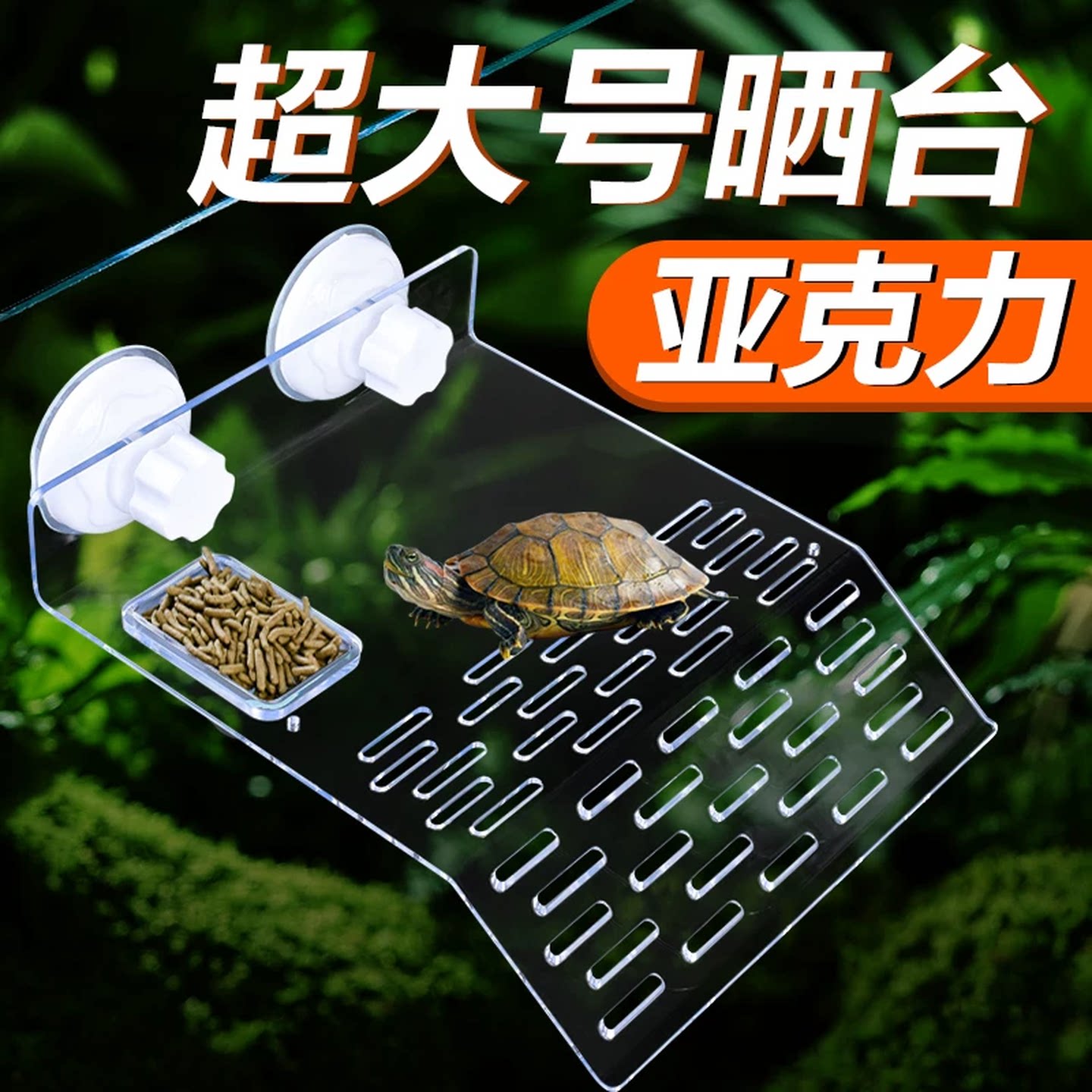 乌龟晒台爬台鱼缸龟缸爬坡亚克力吸盘高水位食圈深水浮岛晒背浮台