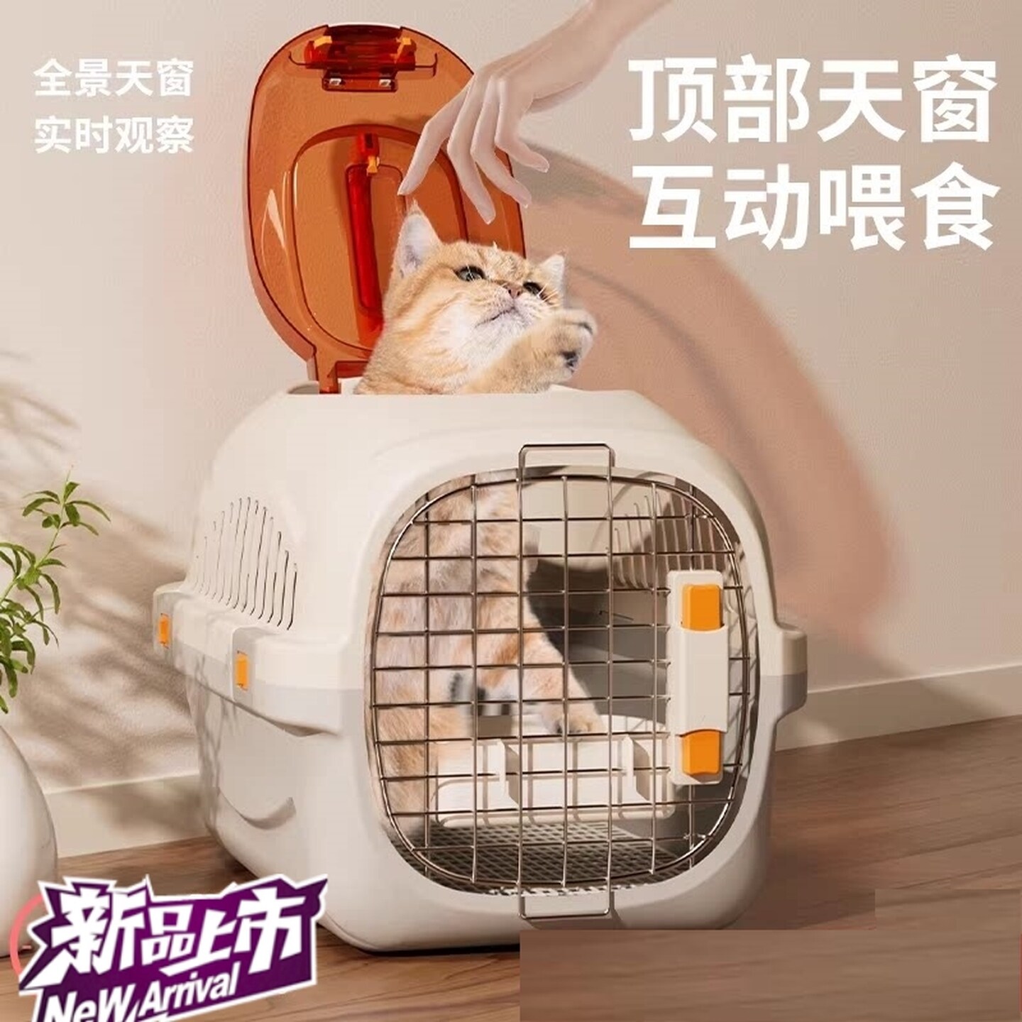 兔子荷兰猪外带小型犬外出箱提手便携狗笼宠物猫犬车载航空箱用品