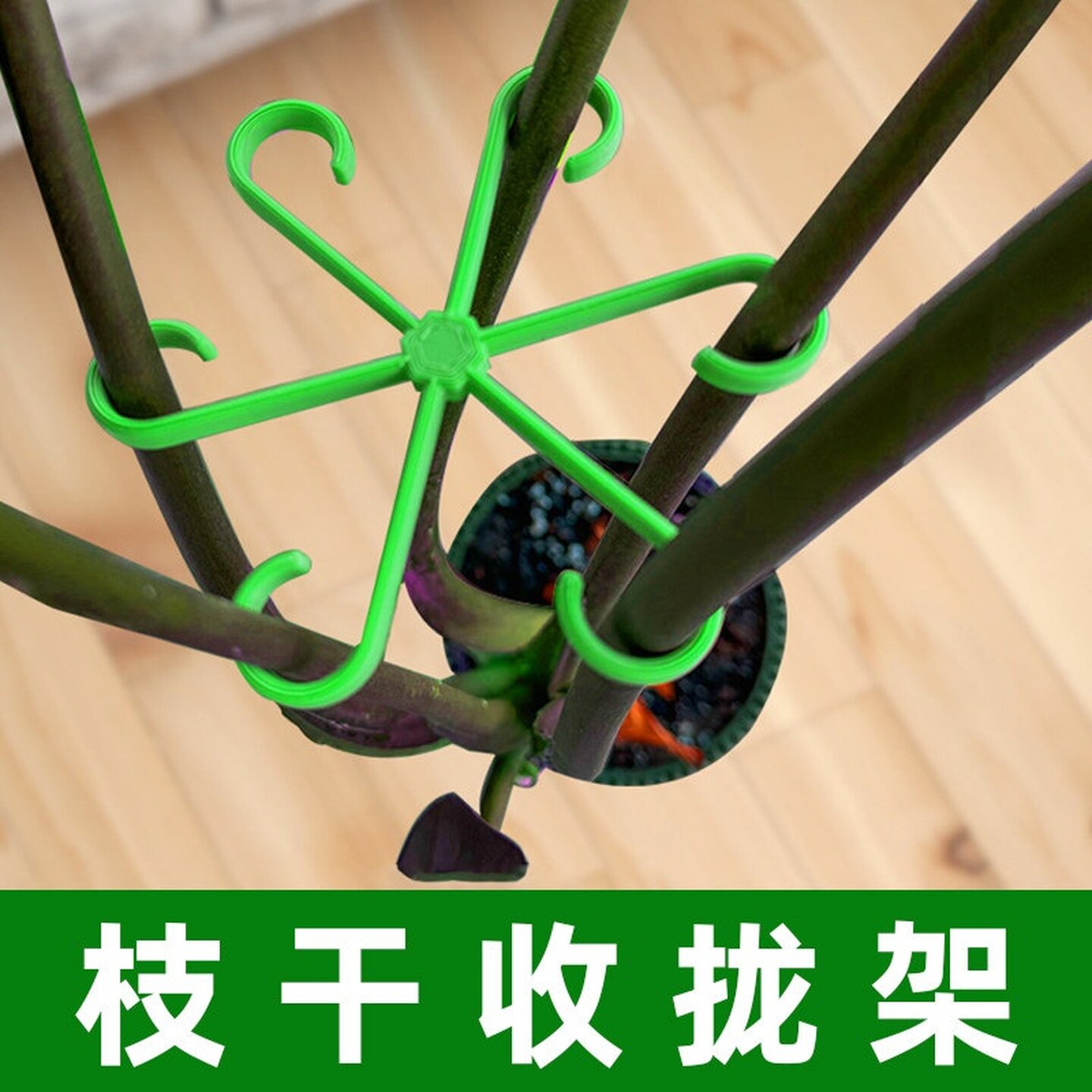 植物防倒伏支架龟背竹支撑杆水培收拢架园艺绿植花卉盆固定器神器