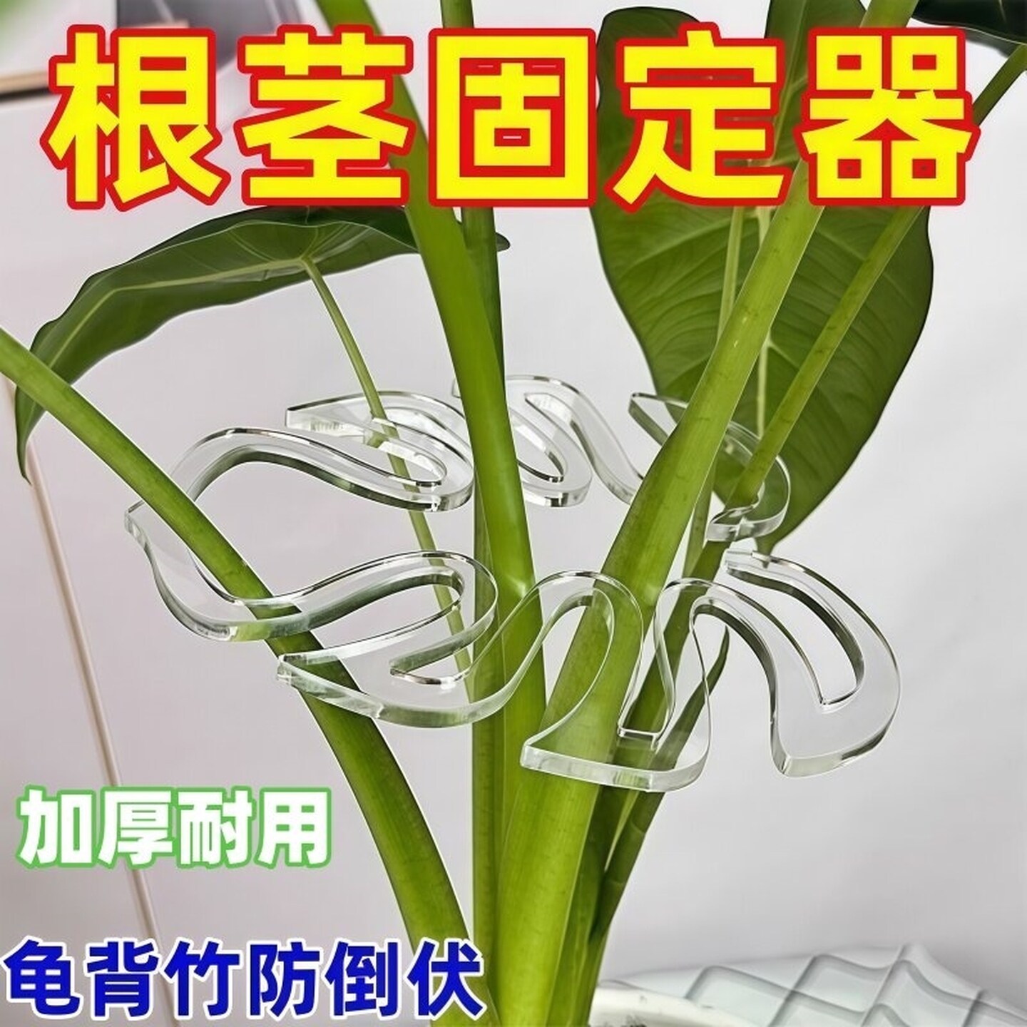 龟背竹防倒伏支撑杆固定器绿植物固定夹水培花茎春羽园艺花卉收拢