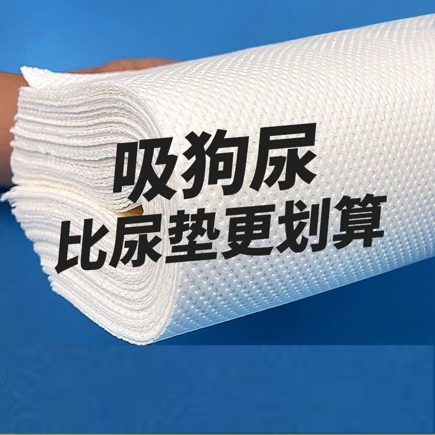 狗狗吸尿纸加厚除臭吸水宠物擦尿纸尿垫猫咪隔尿龙猫一次性吸水纸