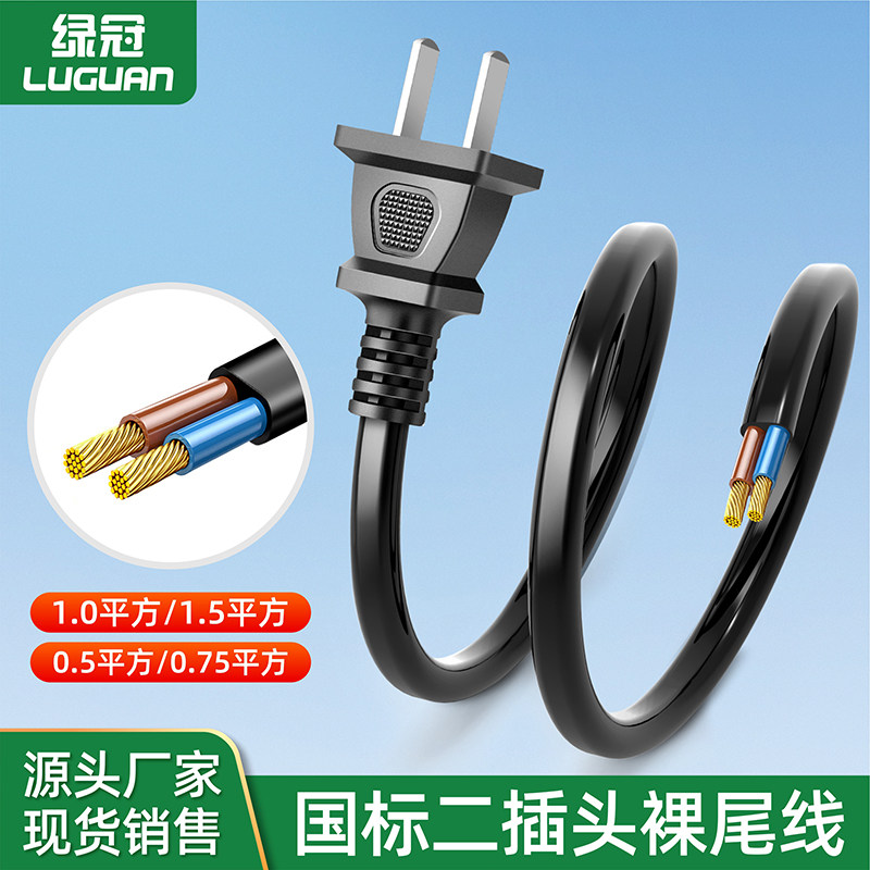 国标二脚纯铜两插1.5平方电源线