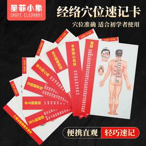 十二经络穴位图速记学习卡人体中医针灸模型教学走向挂12全身部位