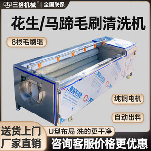 洗花生马蹄萝卜机器土豆魔芋毛刷去皮机大型芥菜莲藕姜毛辊清洗机