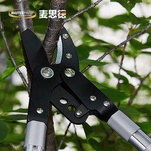 伸缩型园艺剪刀粗枝剪修枝剪刀绿化修剪花剪树枝剪刀园林枝剪刀