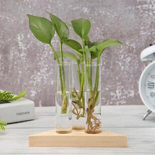 Glass Bonsai Vase Frame Desktop Wooden Transparent