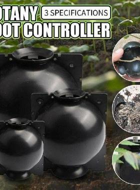 Reusable Plant Root Growing Box Cutting Grafting Rooting