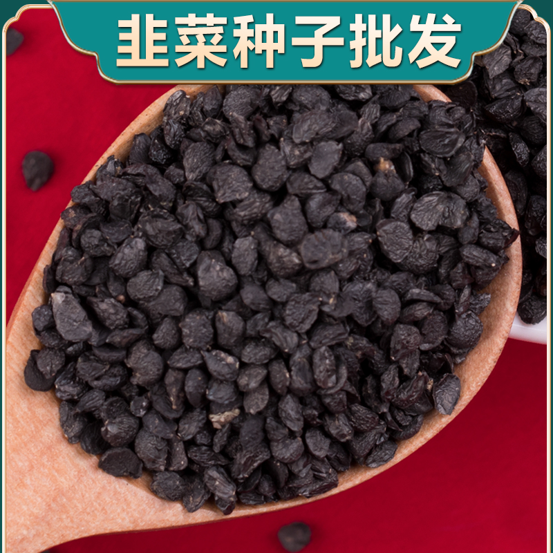 韭菜种籽韭菜种子韭菜籽种韭菜种植根香宽叶四季紫根韭菜蔬菜